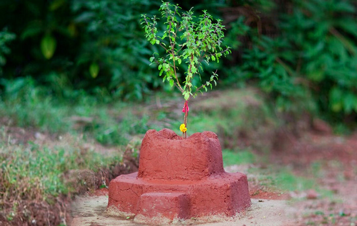 आज हरि बोधिनी एकादशी, यस्तो छ तुलसीको महत्त्व