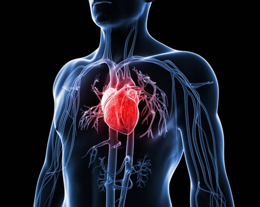 किन बढ्दैछन मुटु रोगी ? विशेषज्ञ भन्छन् बच्न यसो गर्नुस्…