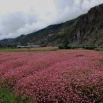 विश्व इतिहासमा आजः हैटीमा कुदेखि बाल्टिक समुद्रमा डुंगा दुर्घटना
