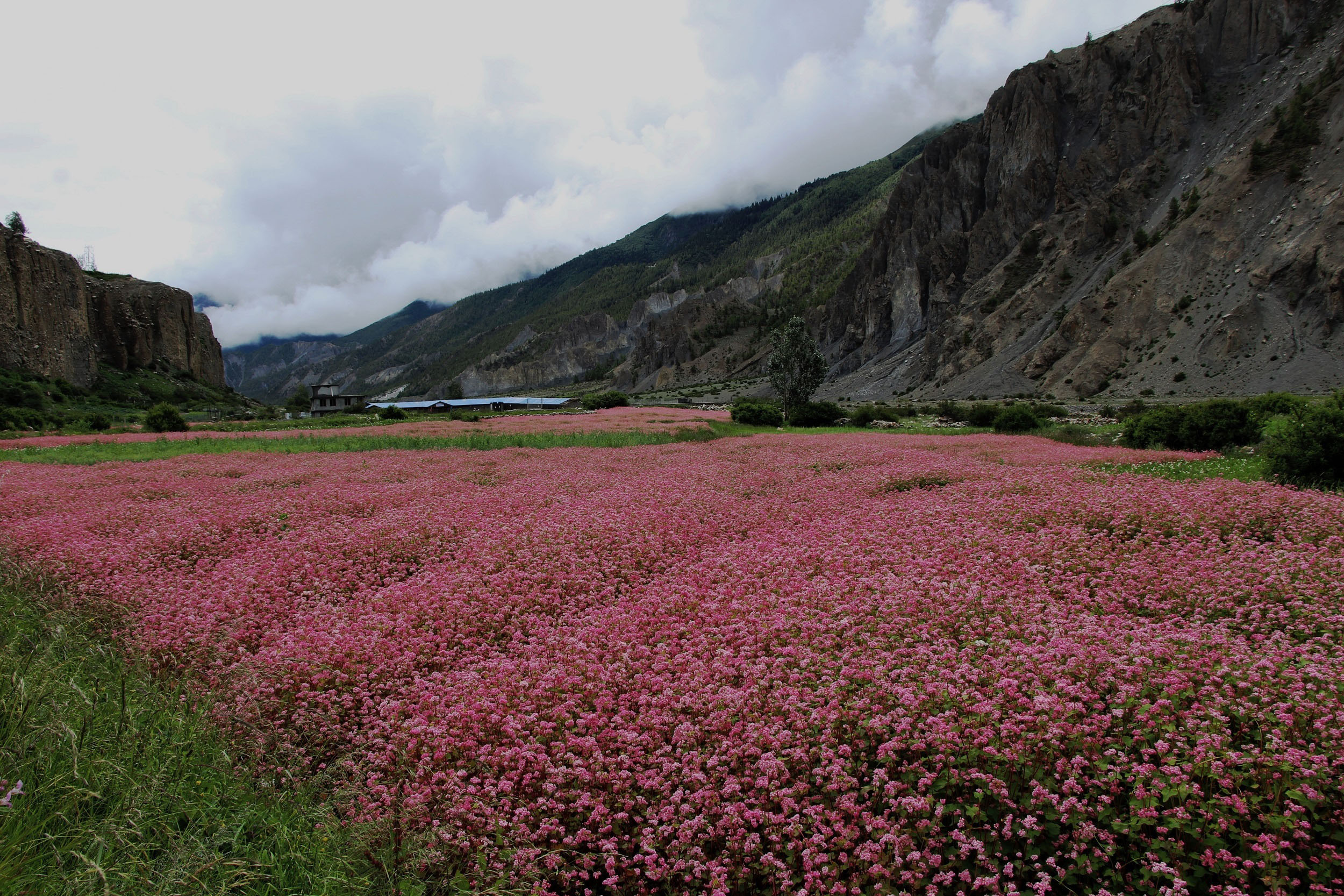 विश्व इतिहासमा आजः हैटीमा कुदेखि बाल्टिक समुद्रमा डुंगा दुर्घटना