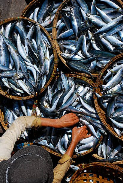 माछा बेचेर वार्षिक डेढ करोड आम्दानी